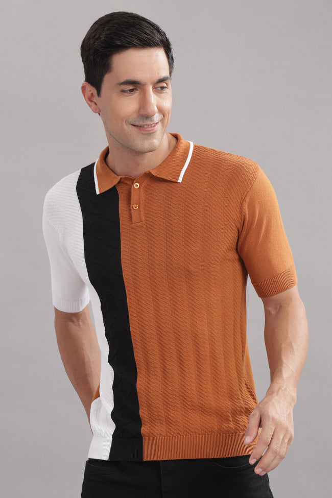 Men Multi Cotton Regular T-Shirt