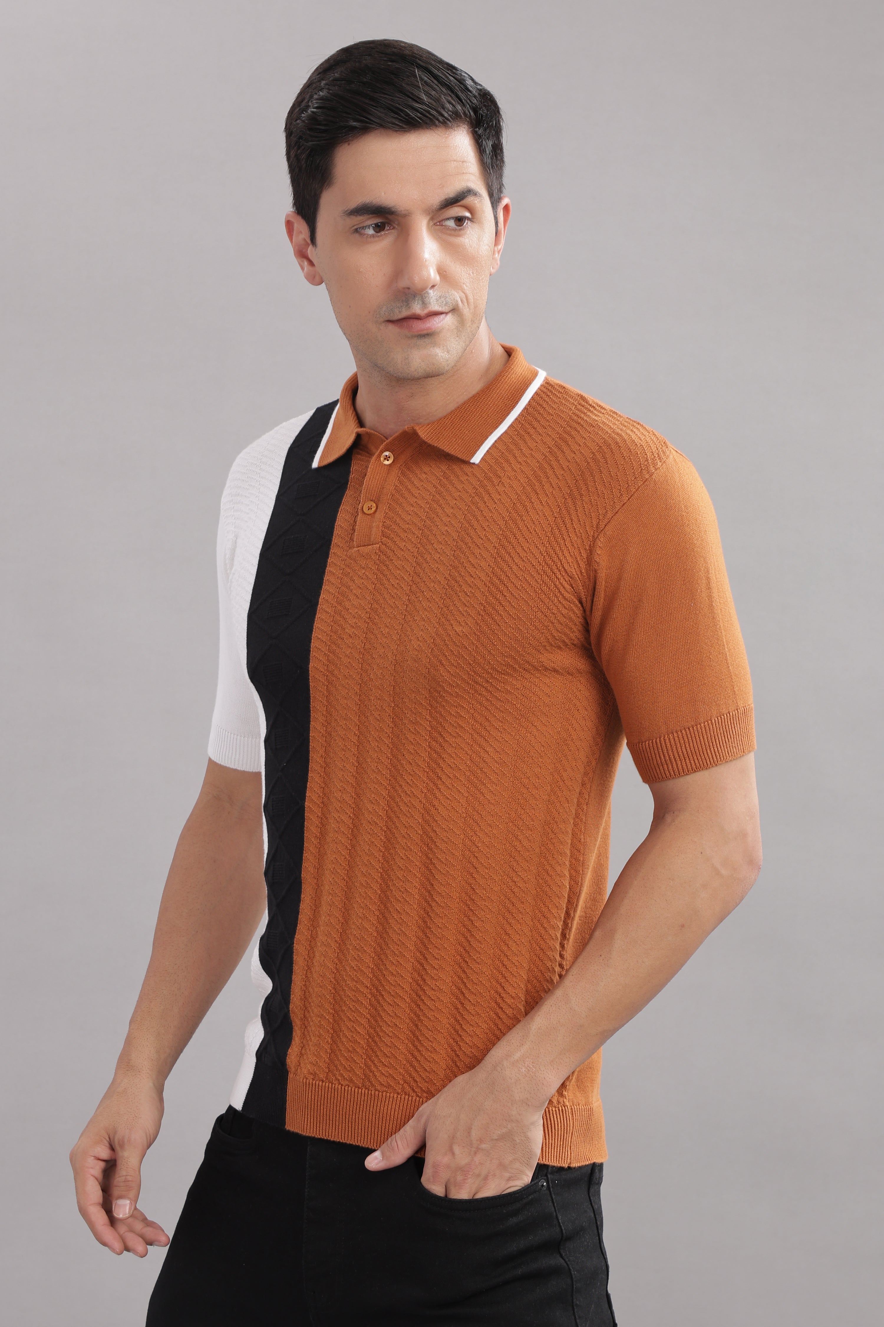 Men Multi Cotton Regular T-Shirt