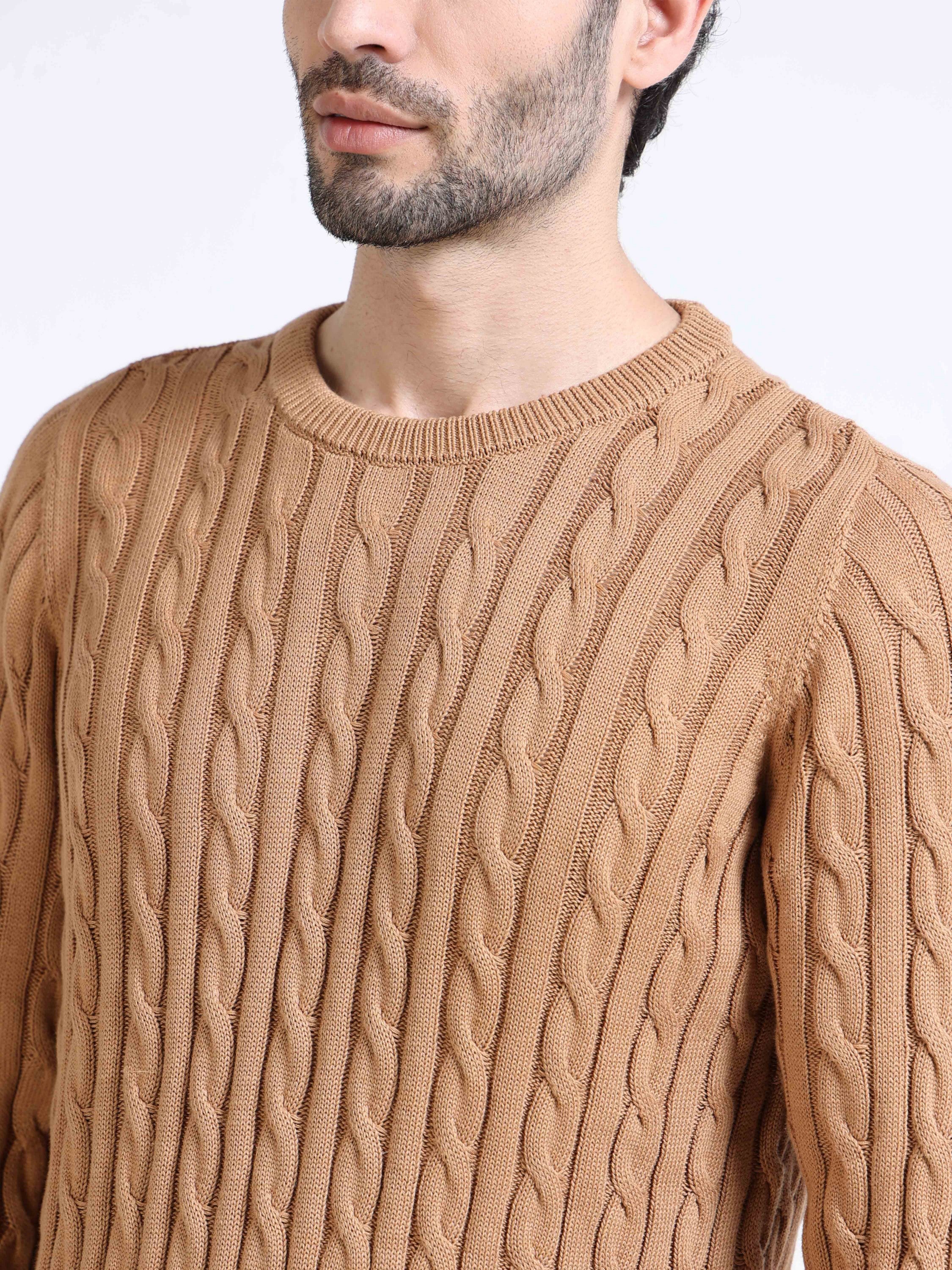 Men Brown Cable Knit Sweater