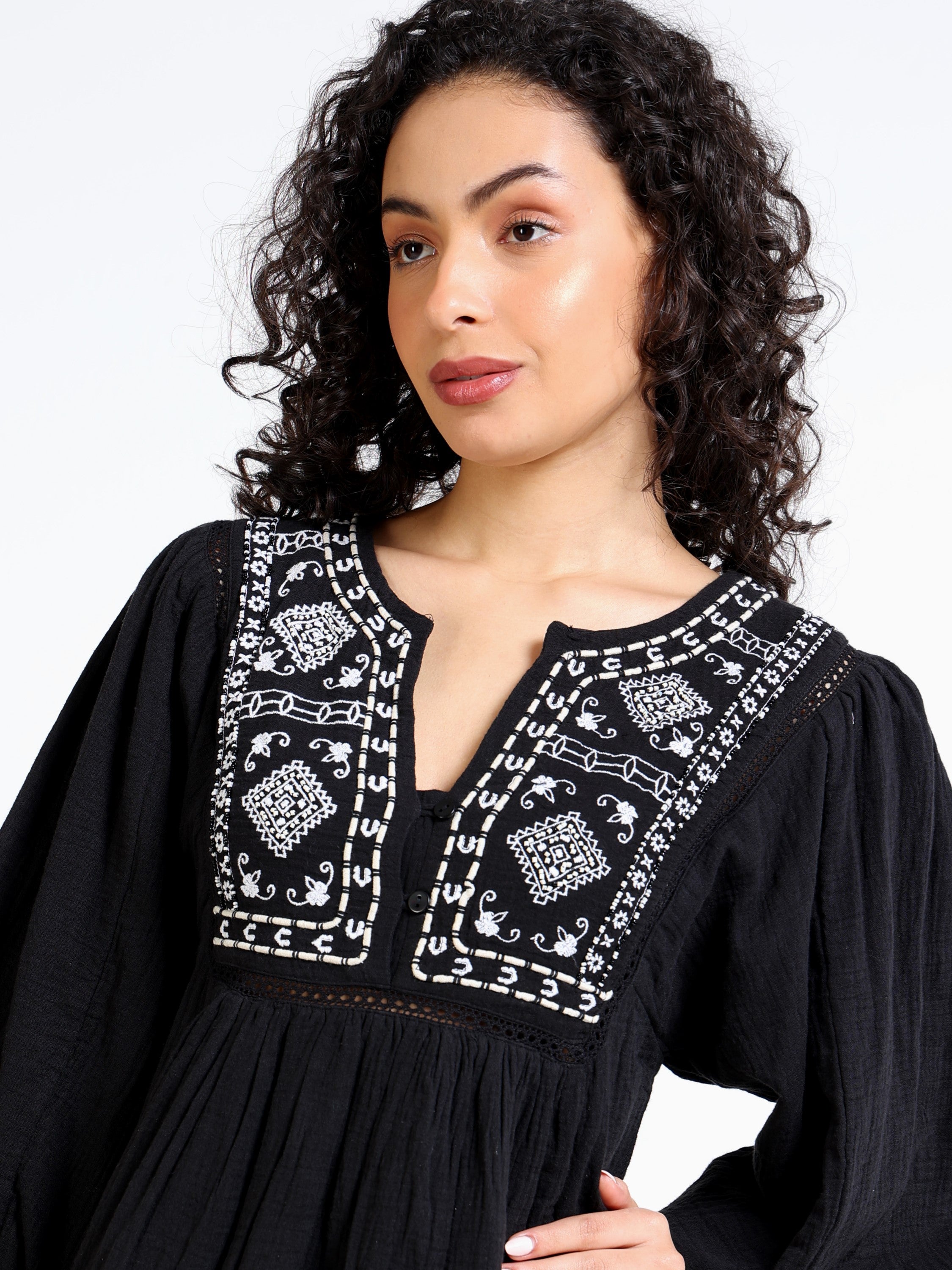 Women Black Embroidered Dress