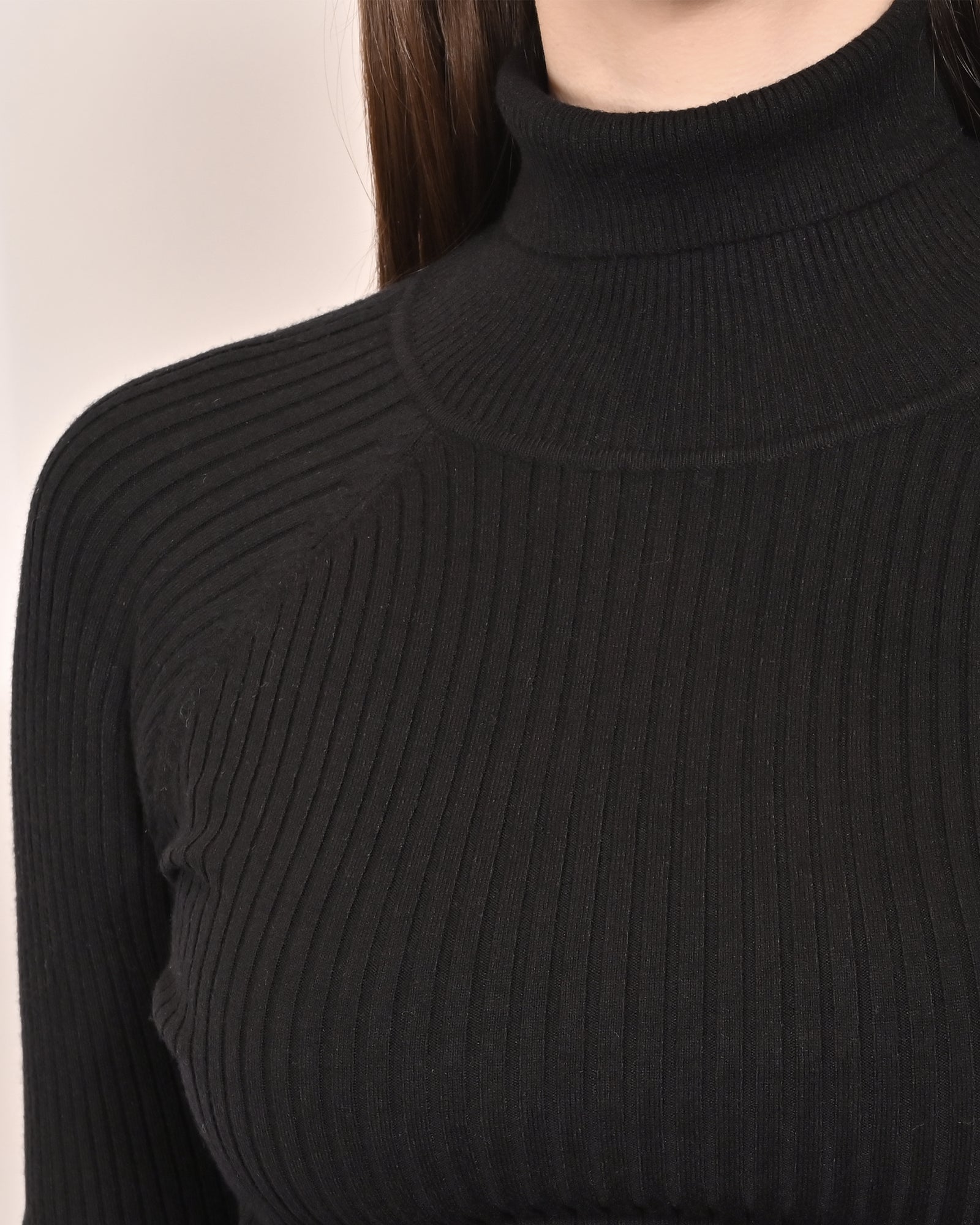 Women Black Ribbed High Neck Sweater