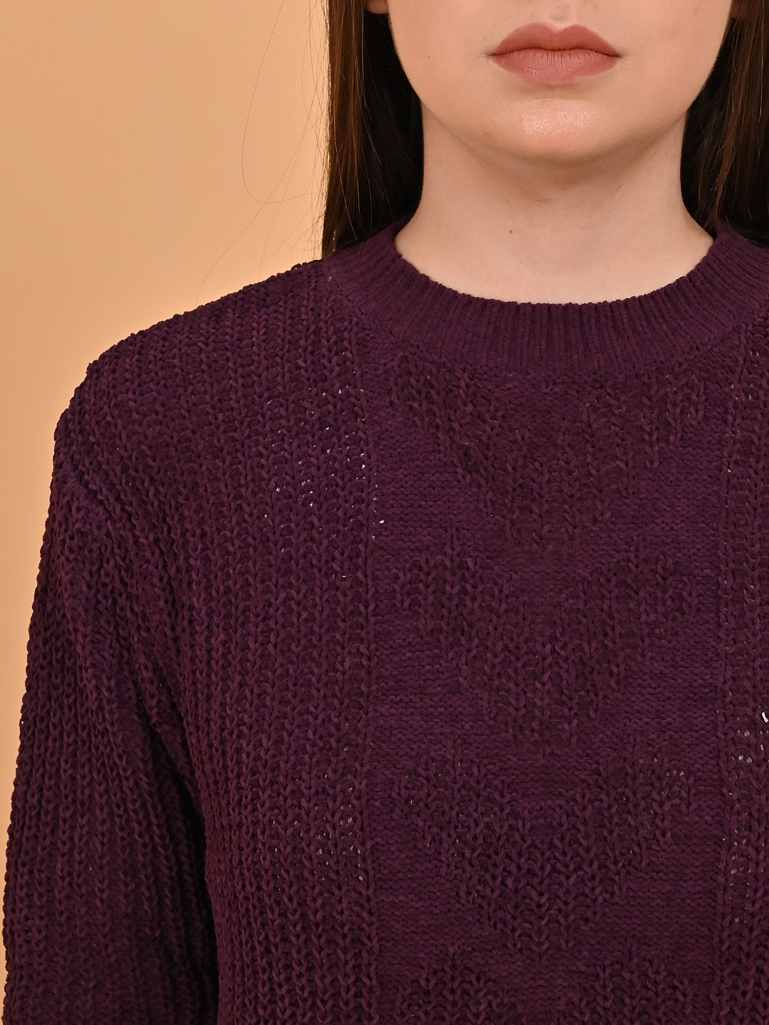 Women Maroon Round Neck Sweater