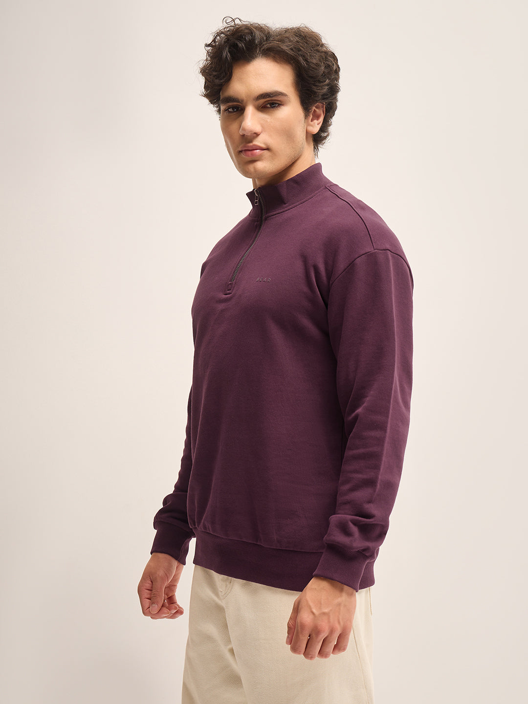 Men Plum Solid Relax Fit High Neck Sweatshirt
