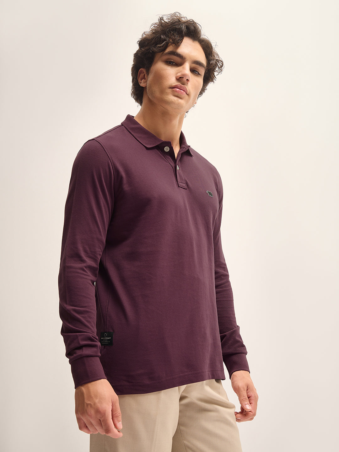 Men Maroon Solid Regular Fit Polo Collar T-shirt