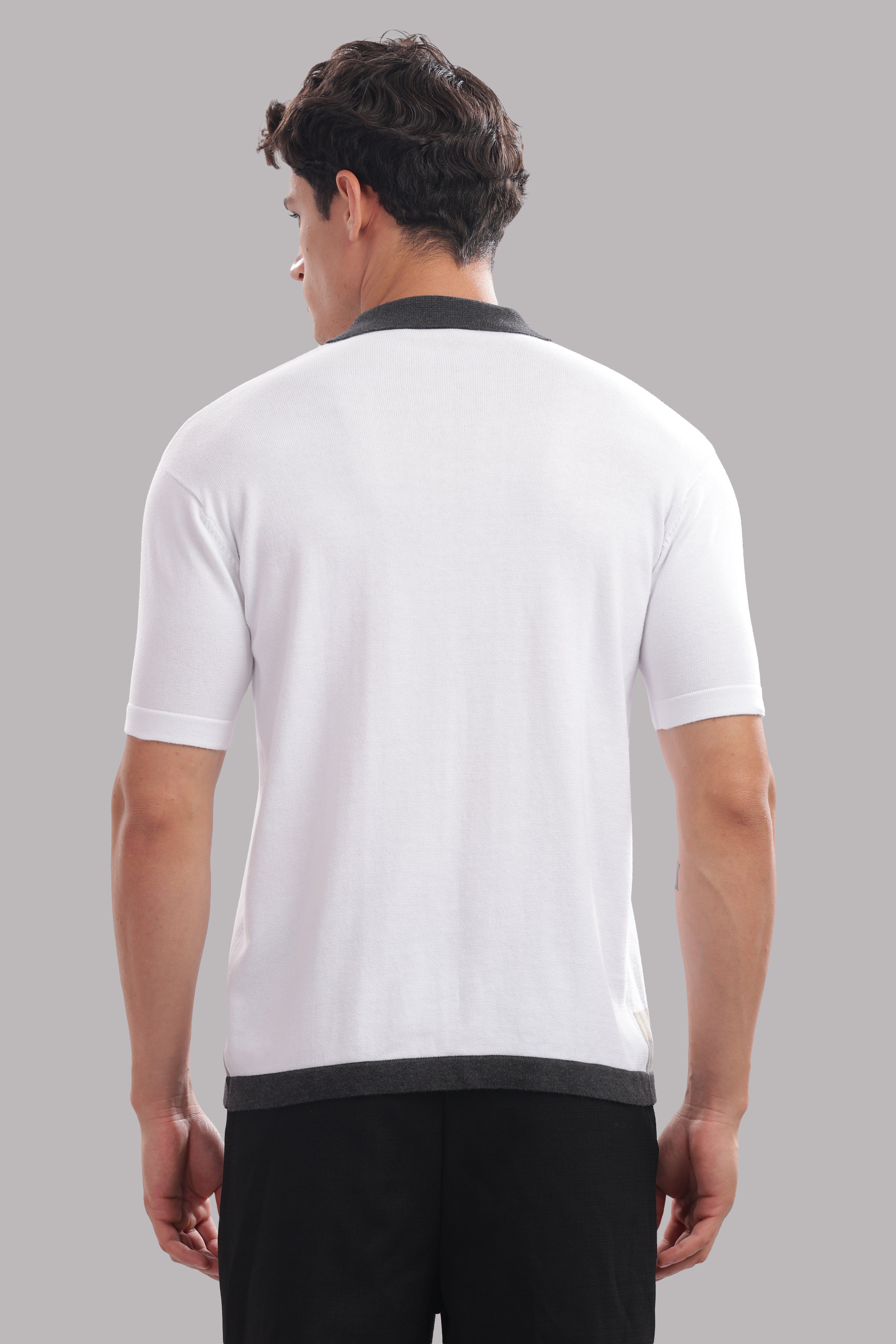 Men Multi Cotton Regular T-Shirt