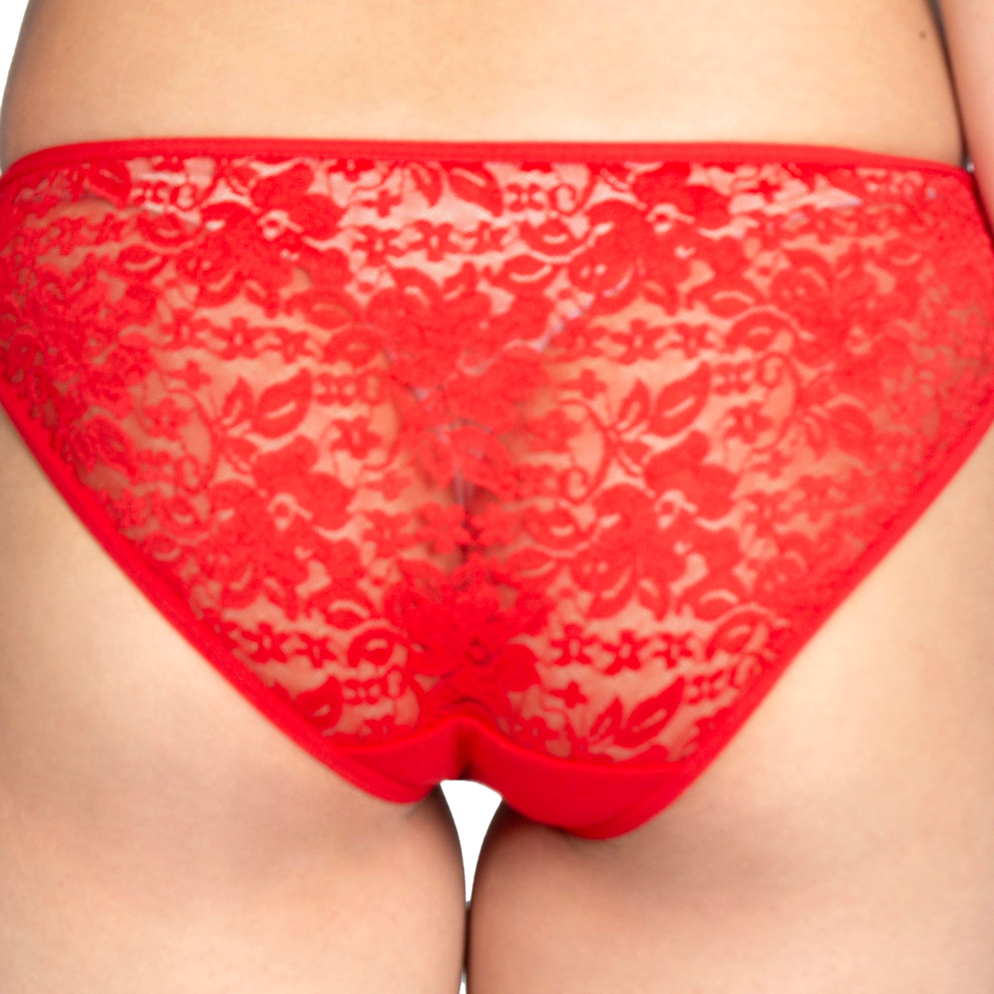 Low Rise Half Coverage Lace Bikini