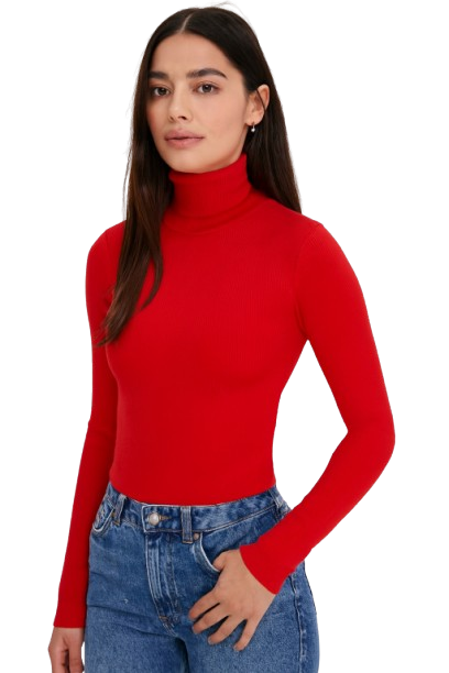 Women Red High-Neck Sweater