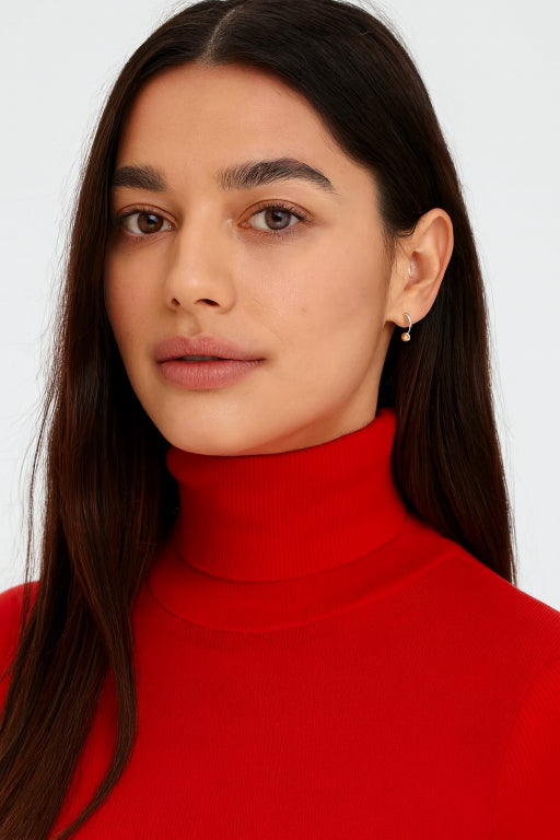 Women Red High-Neck Sweater