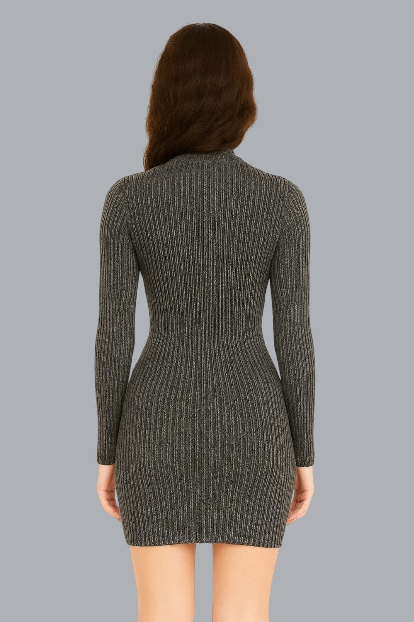 Women Viscose Black Metallic Ribbed Bodycon Dress
