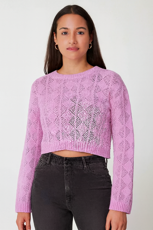Women Purple Cotton Cropped Sweater