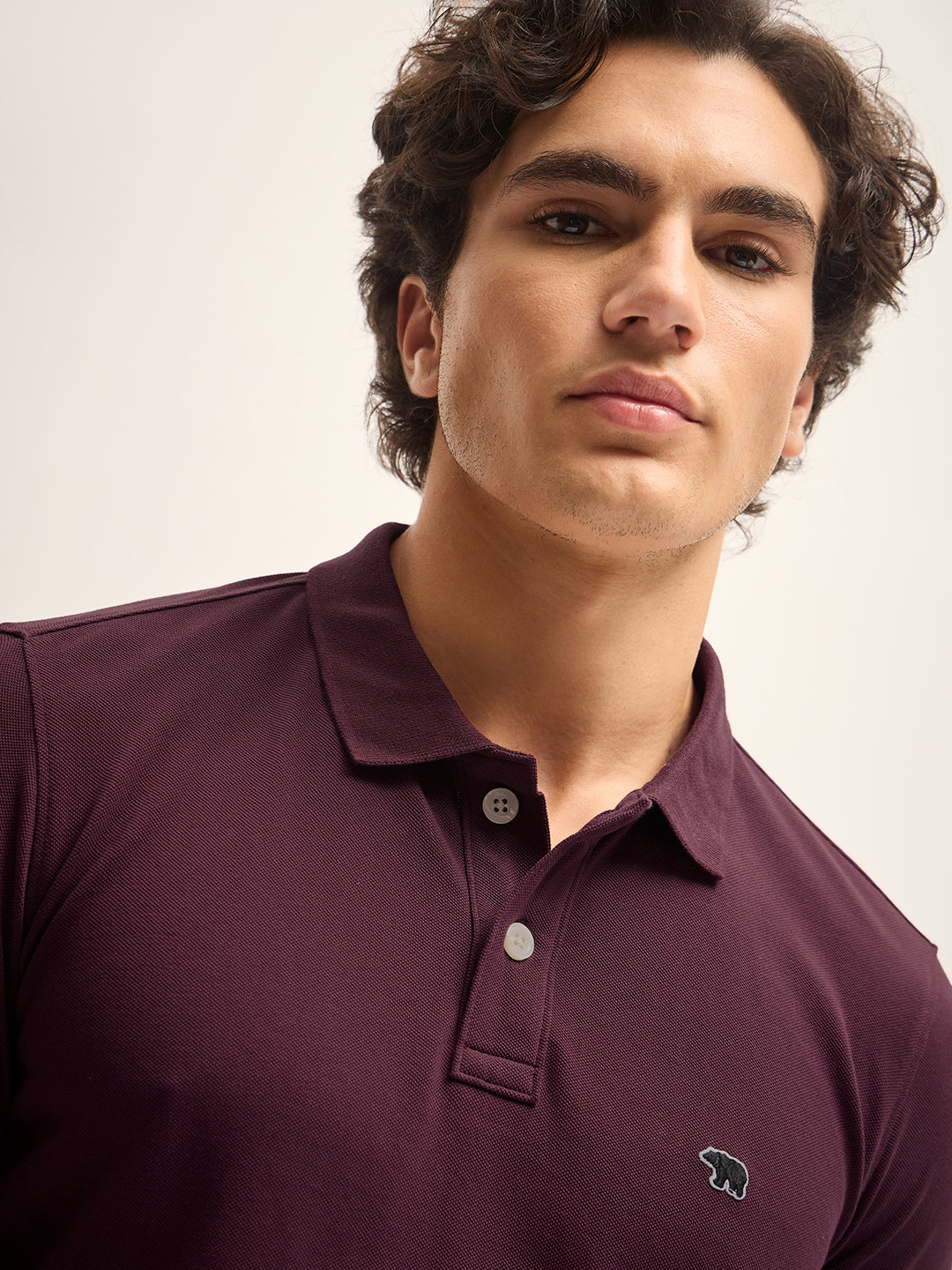 Men Maroon Solid Regular Fit Polo Collar T-shirt