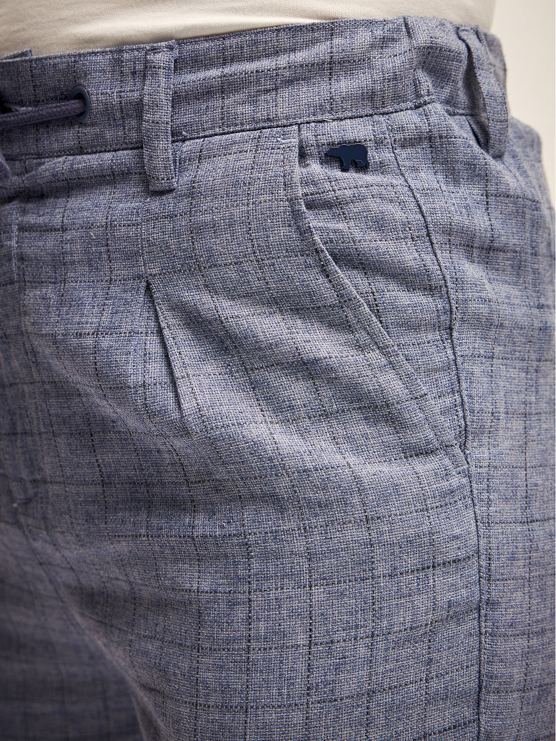 Men Blue Checked Regular Fit Mid-Rise Casual Pant