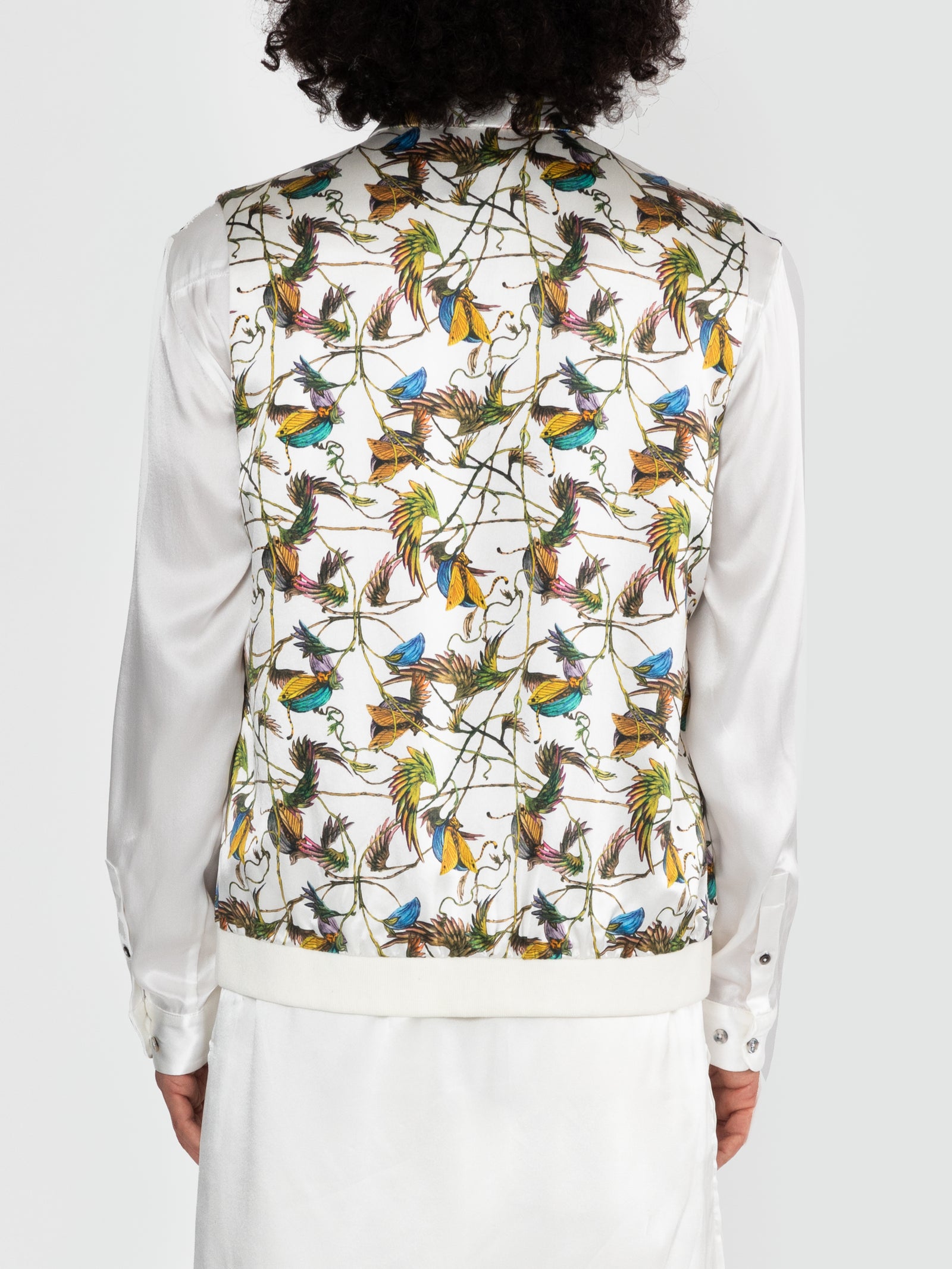 Men Cat In A Pod Bandi Bomber