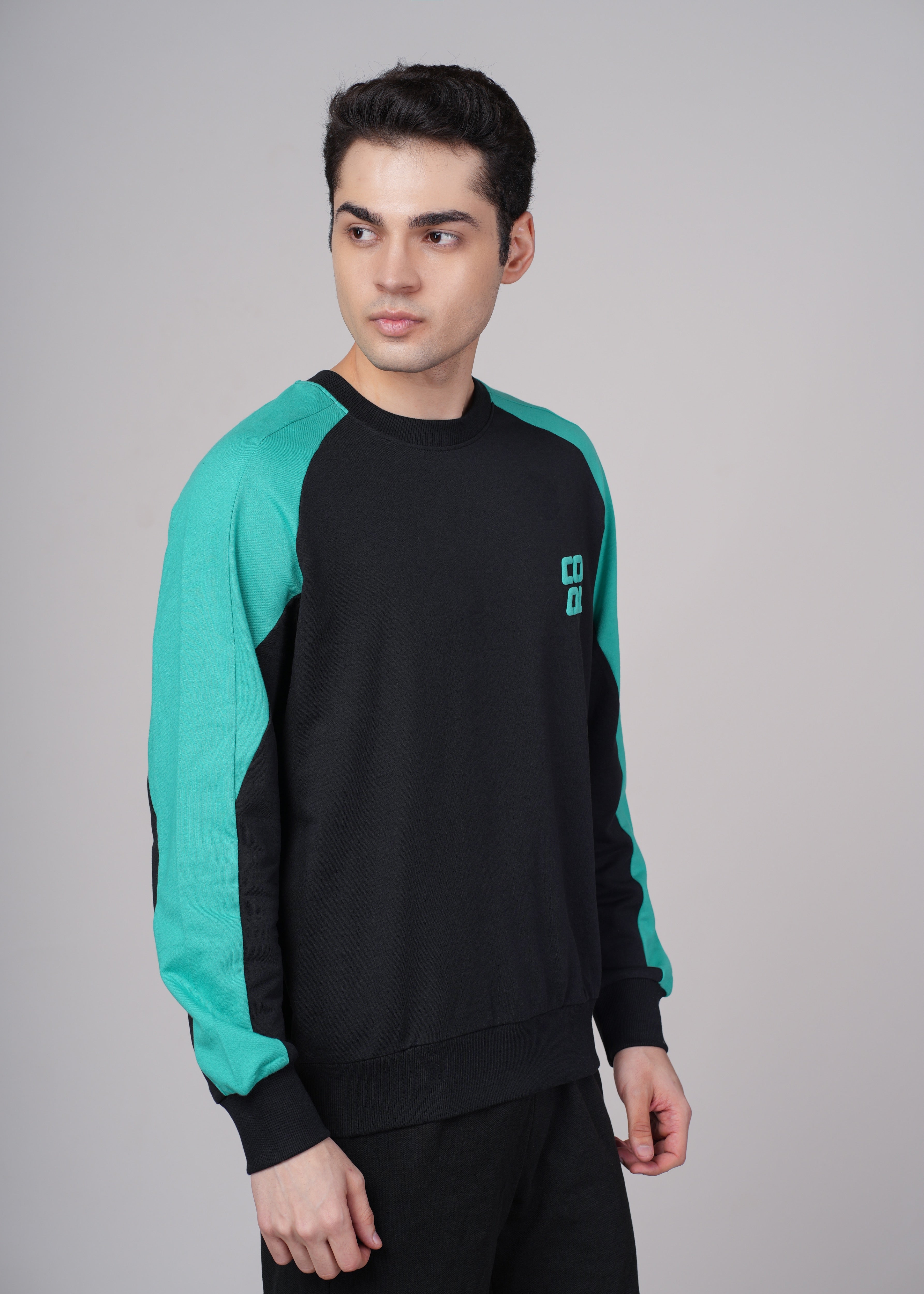Mens Black Cotton Regular Sweatshirt