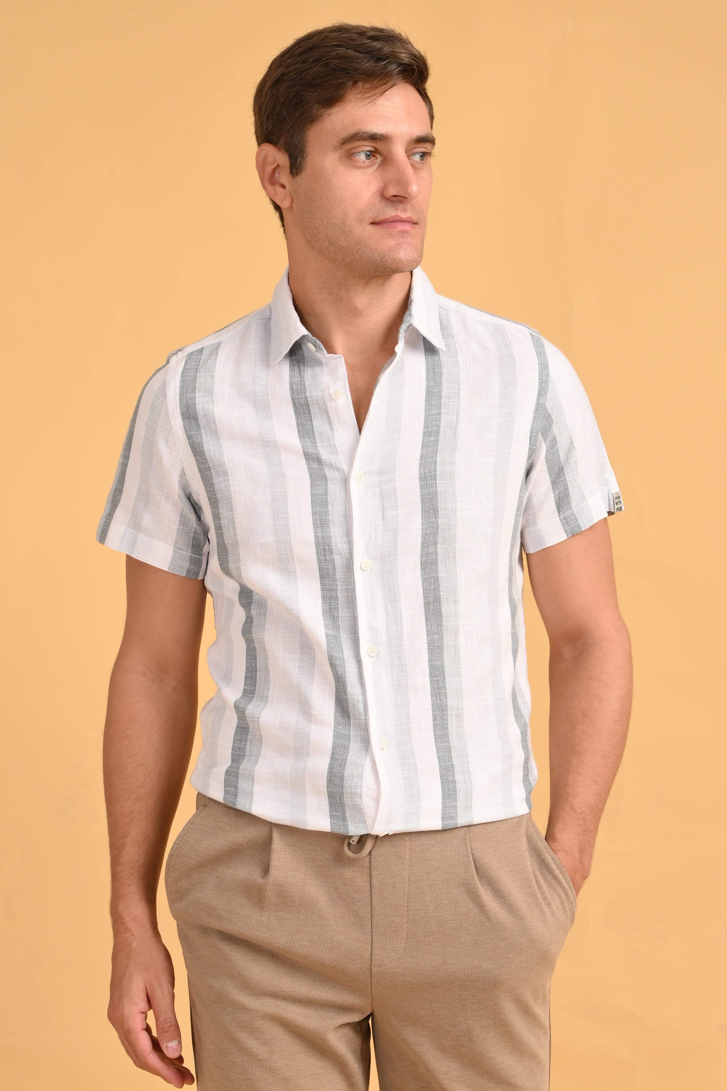 Men Dobby Striped Shirt