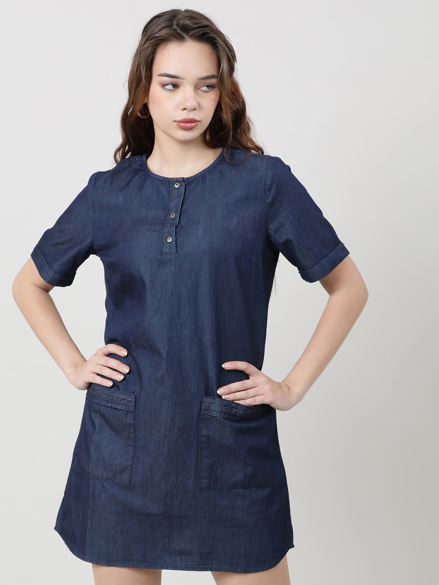 Women Regular Fit Navy Blue Shirt Dress