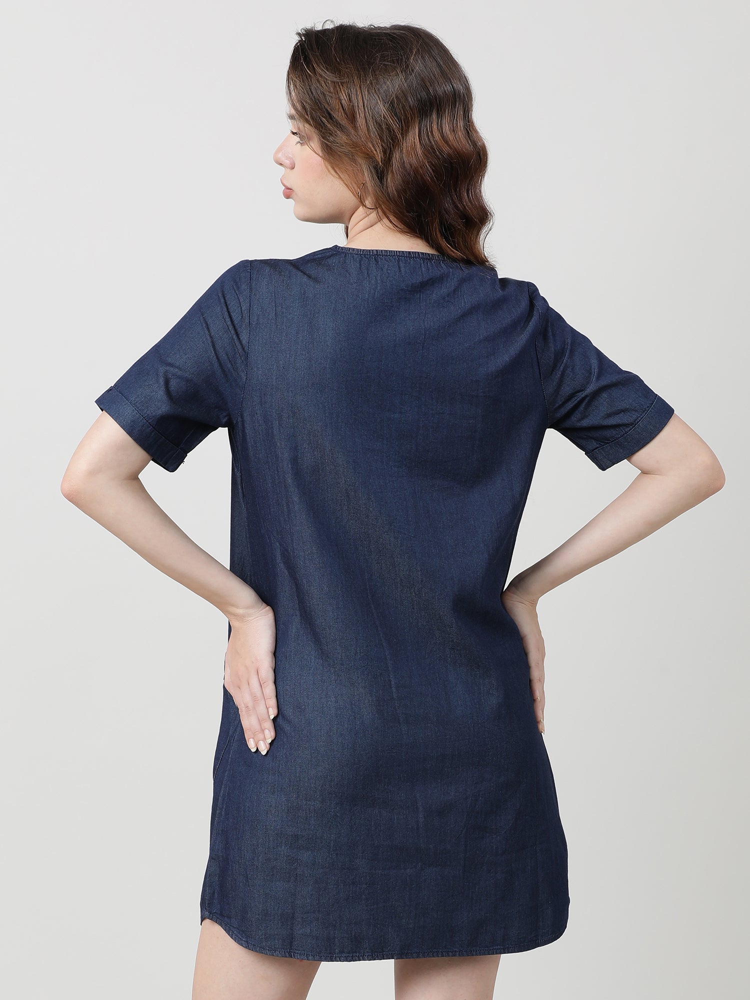 Women Regular Fit Navy Blue Shirt Dress