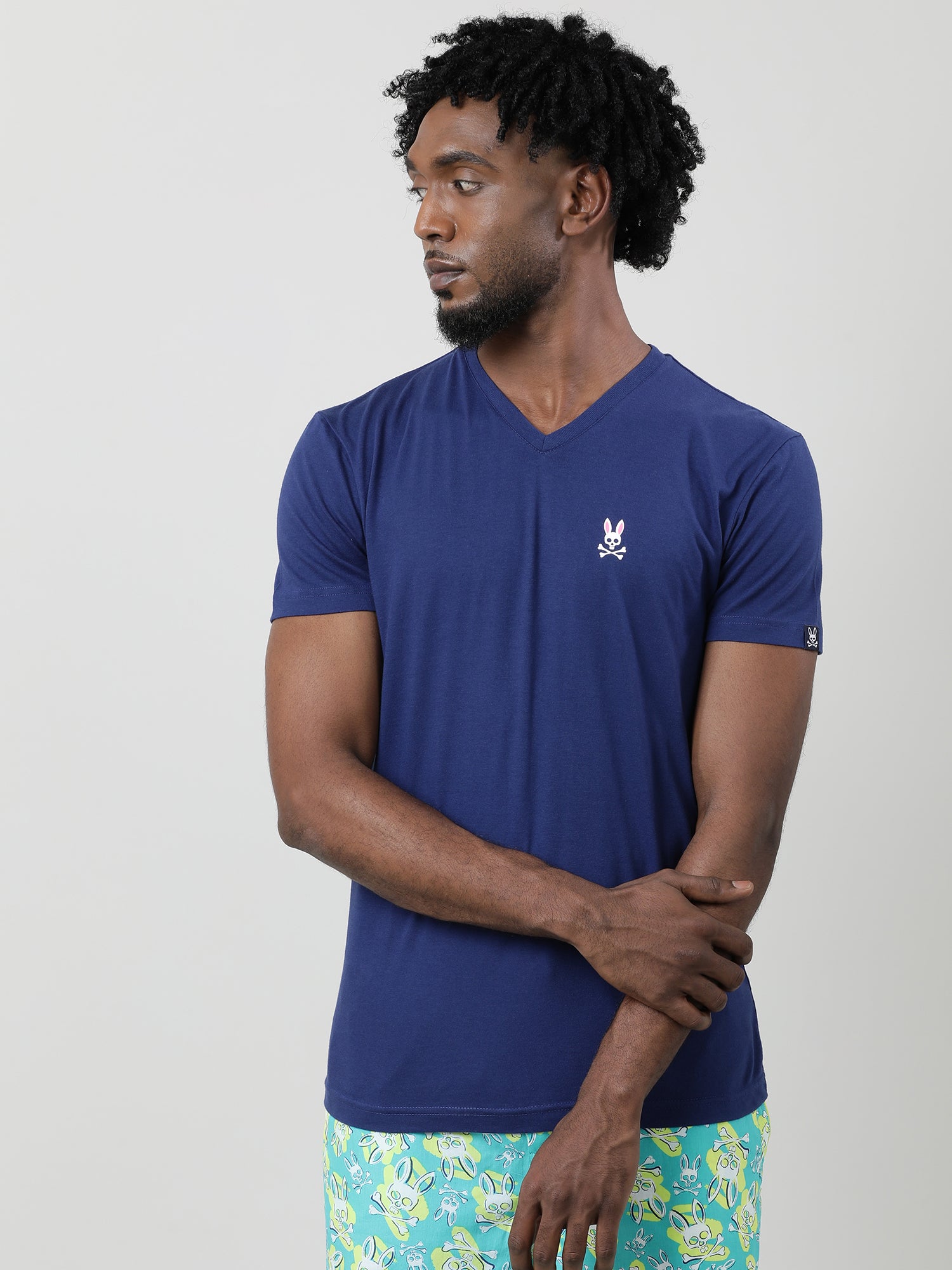 Navy Blue Regular Fit V neck T shirt