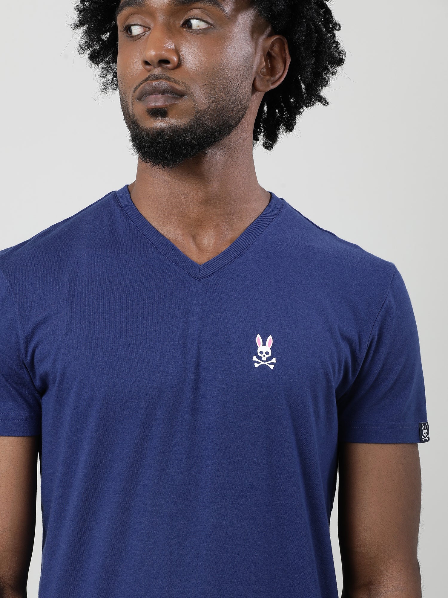 Navy Blue Regular Fit V neck T shirt