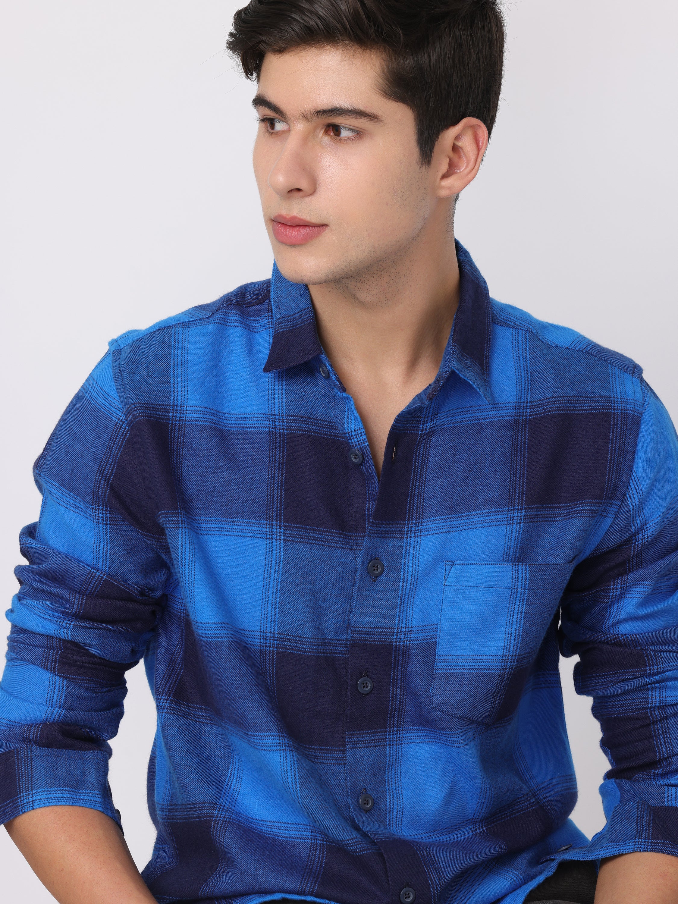 Men Blue Regular Fit Checked Shirt