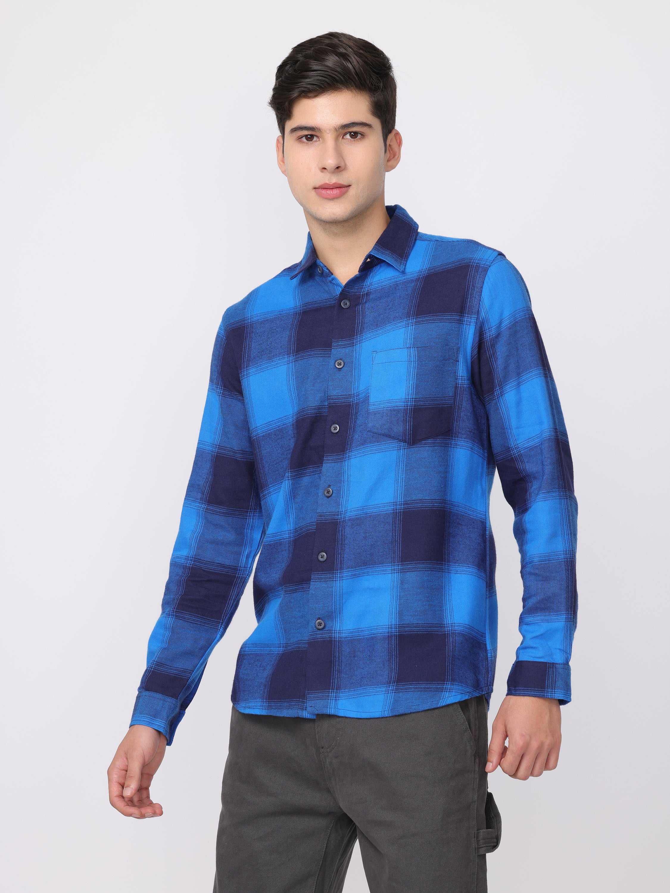 Men Blue Regular Fit Checked Shirt