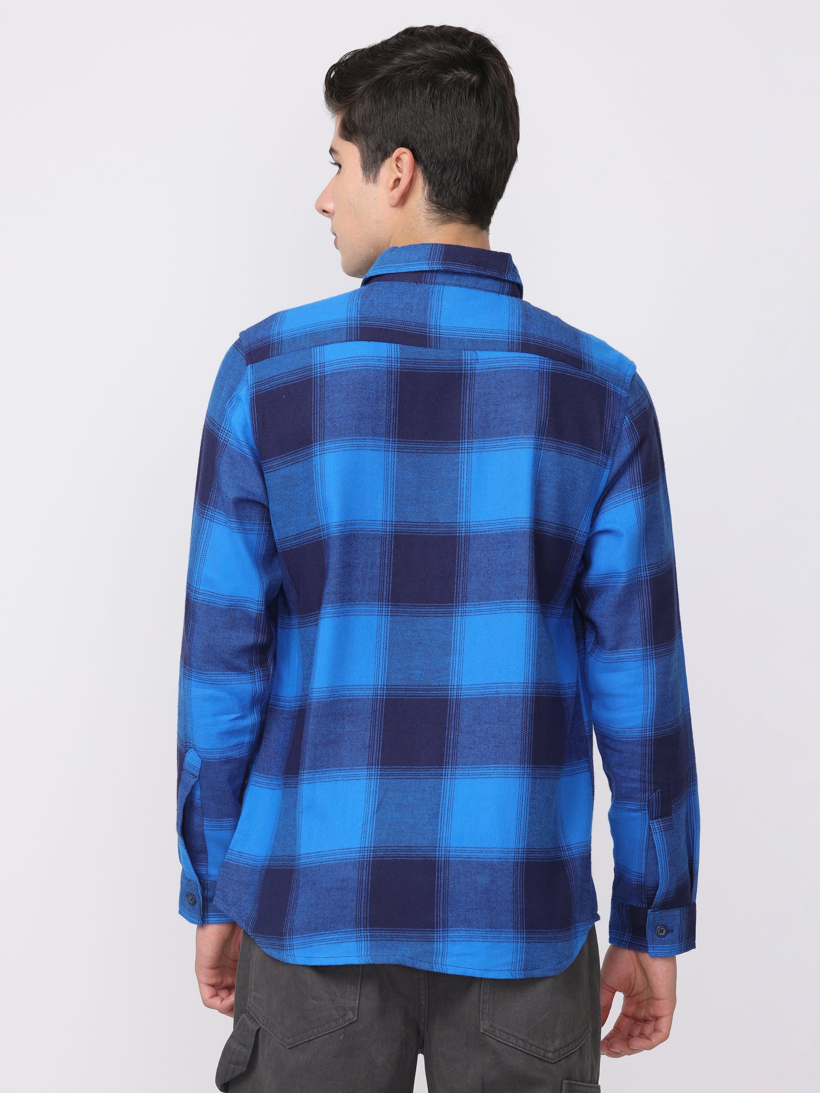 Men Blue Regular Fit Checked Shirt