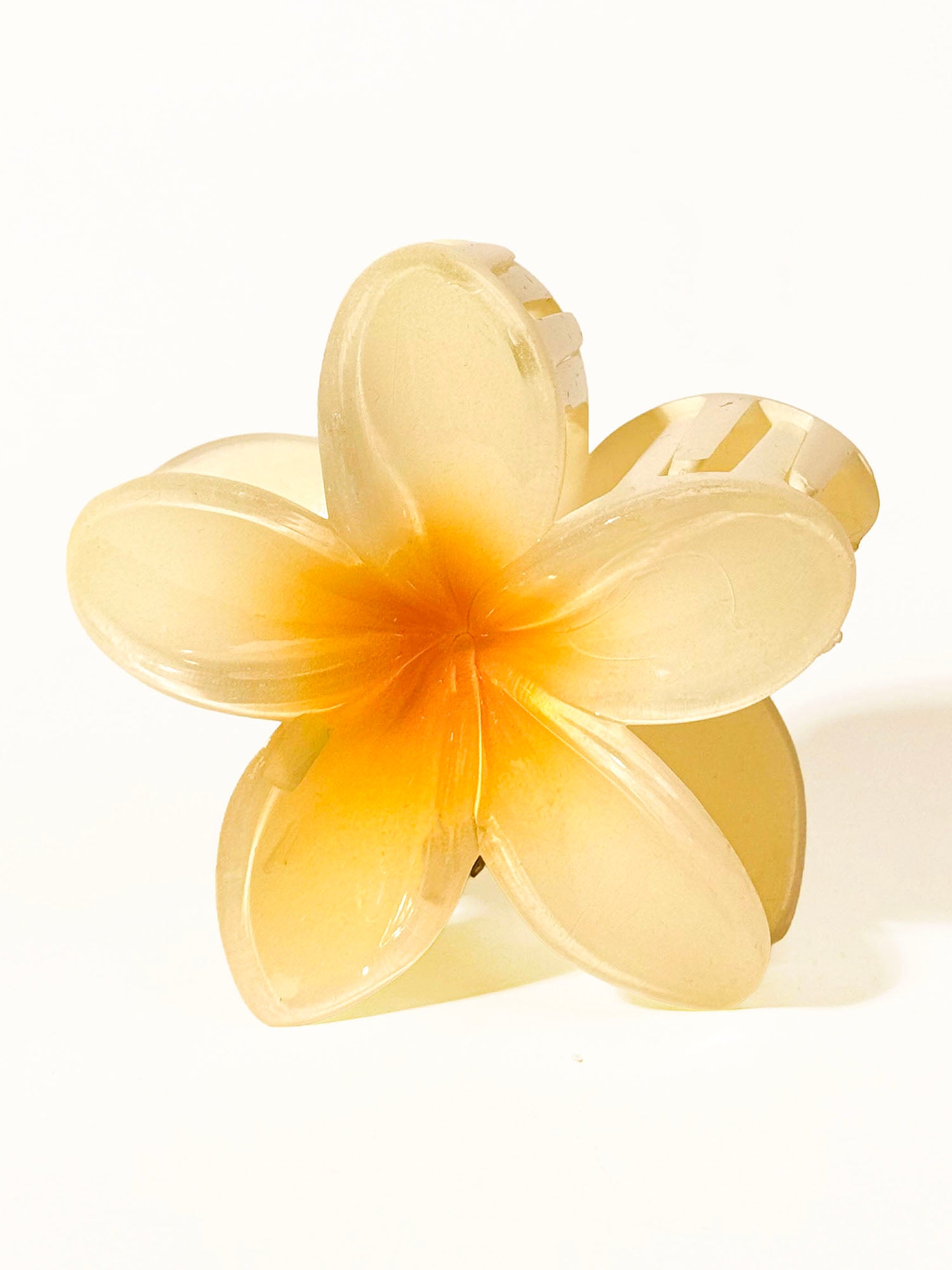 Yellow Celebration Gift Set - Luxe