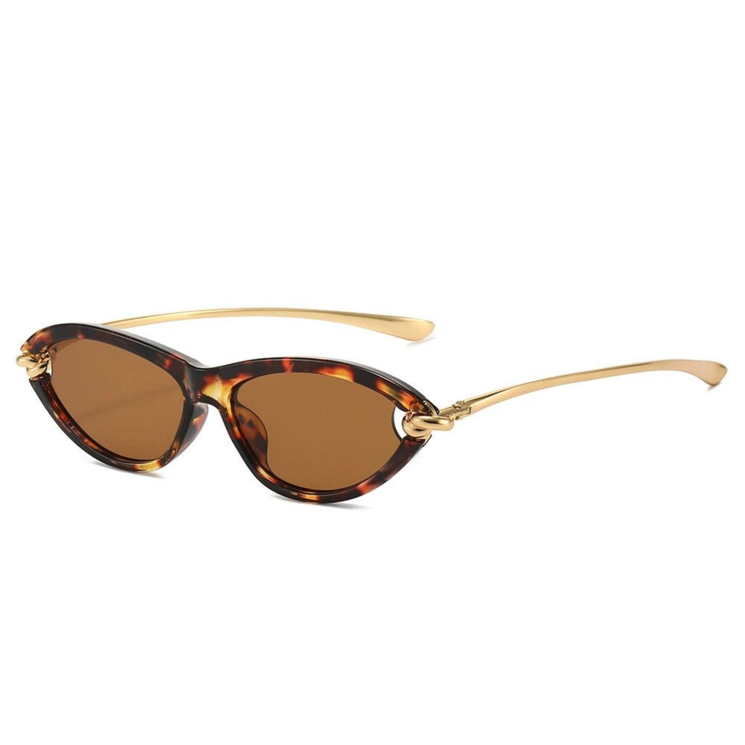 Women Tortoiseshell Cat Eye Brown Sunglasses