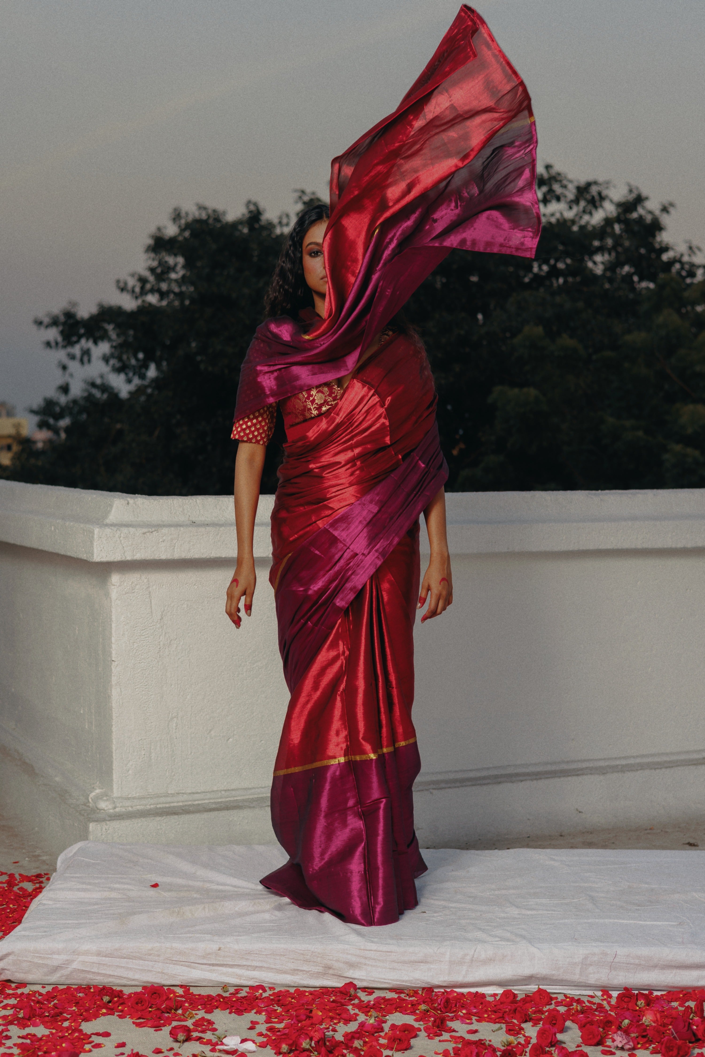 Navya Red and Purple Handloom Tissue Saree