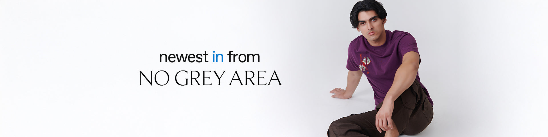 Product promotion banner