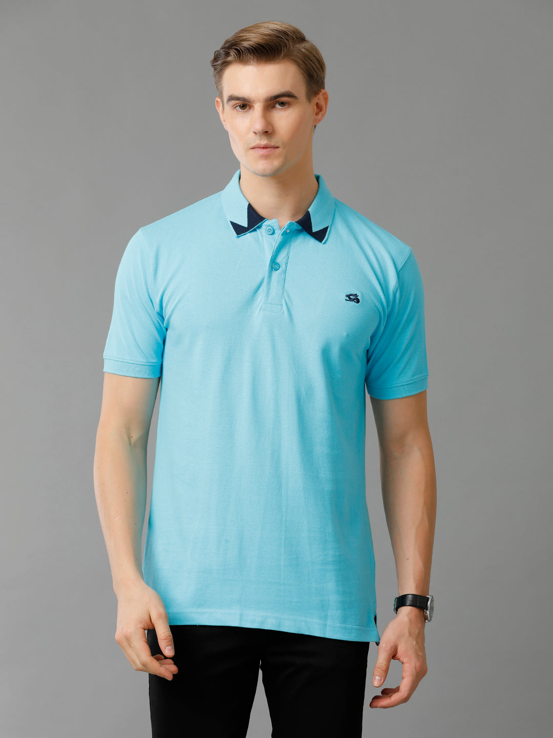 Men Blue Regular Fit Polo T-Shirt