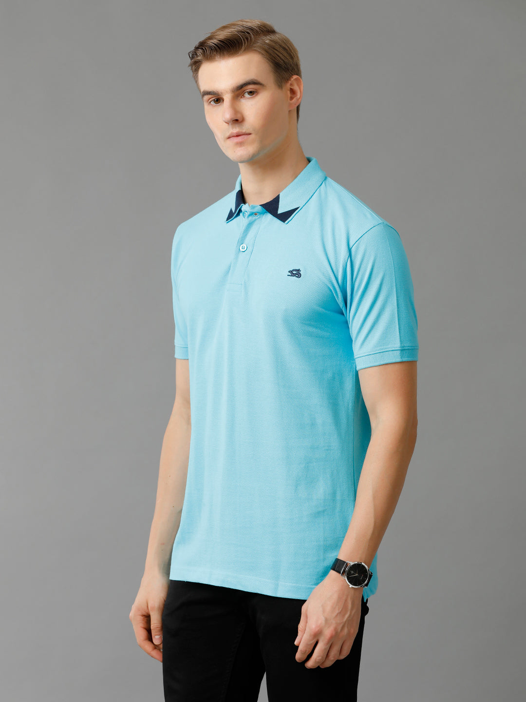 Men Blue Regular Fit Polo T-Shirt