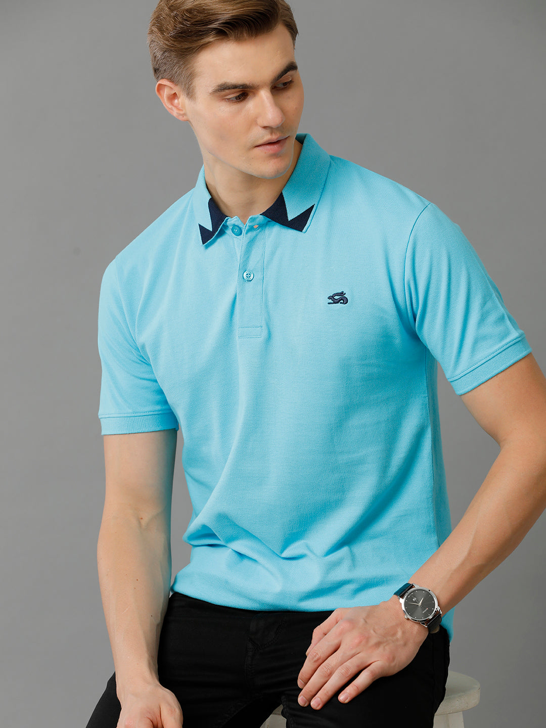 Men Blue Regular Fit Polo T-Shirt