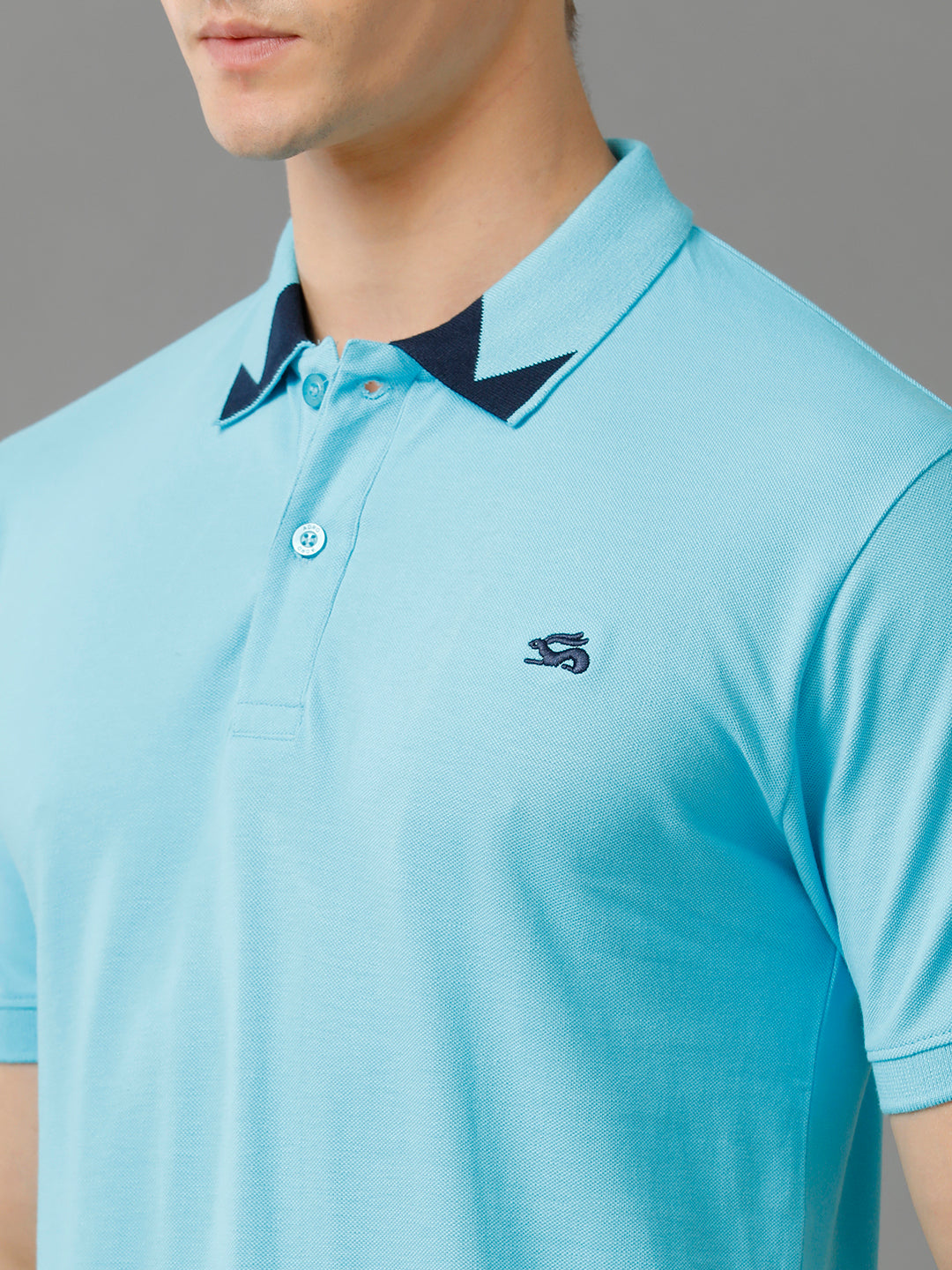 Men Blue Regular Fit Polo T-Shirt