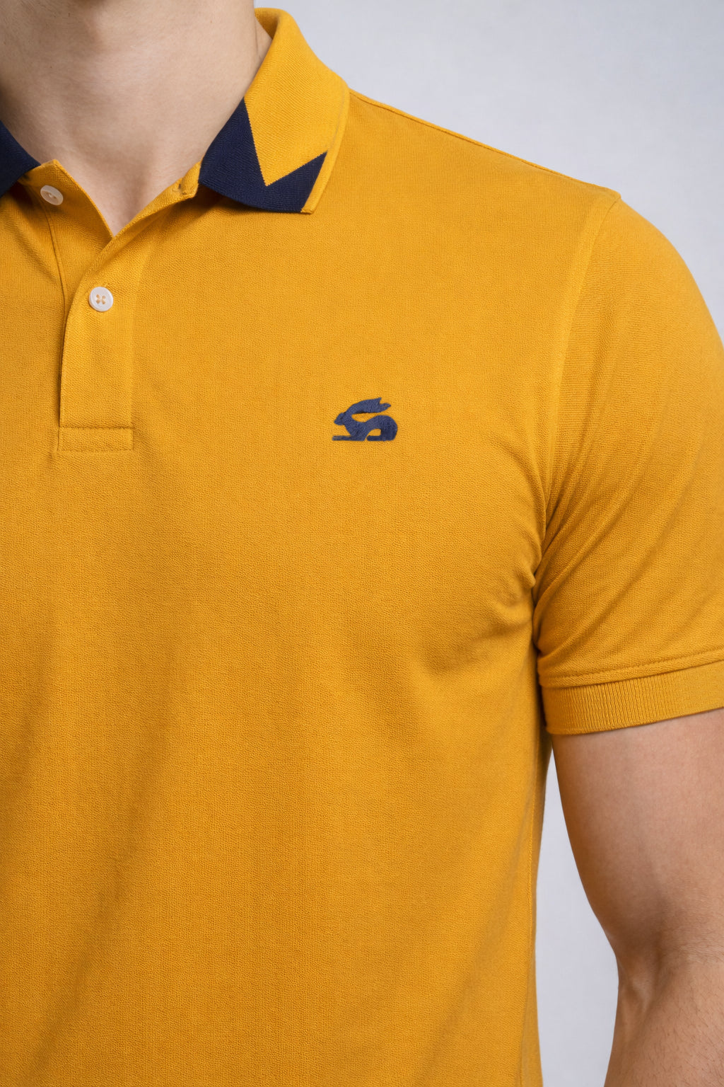 Men Cotton Polo T Shirt