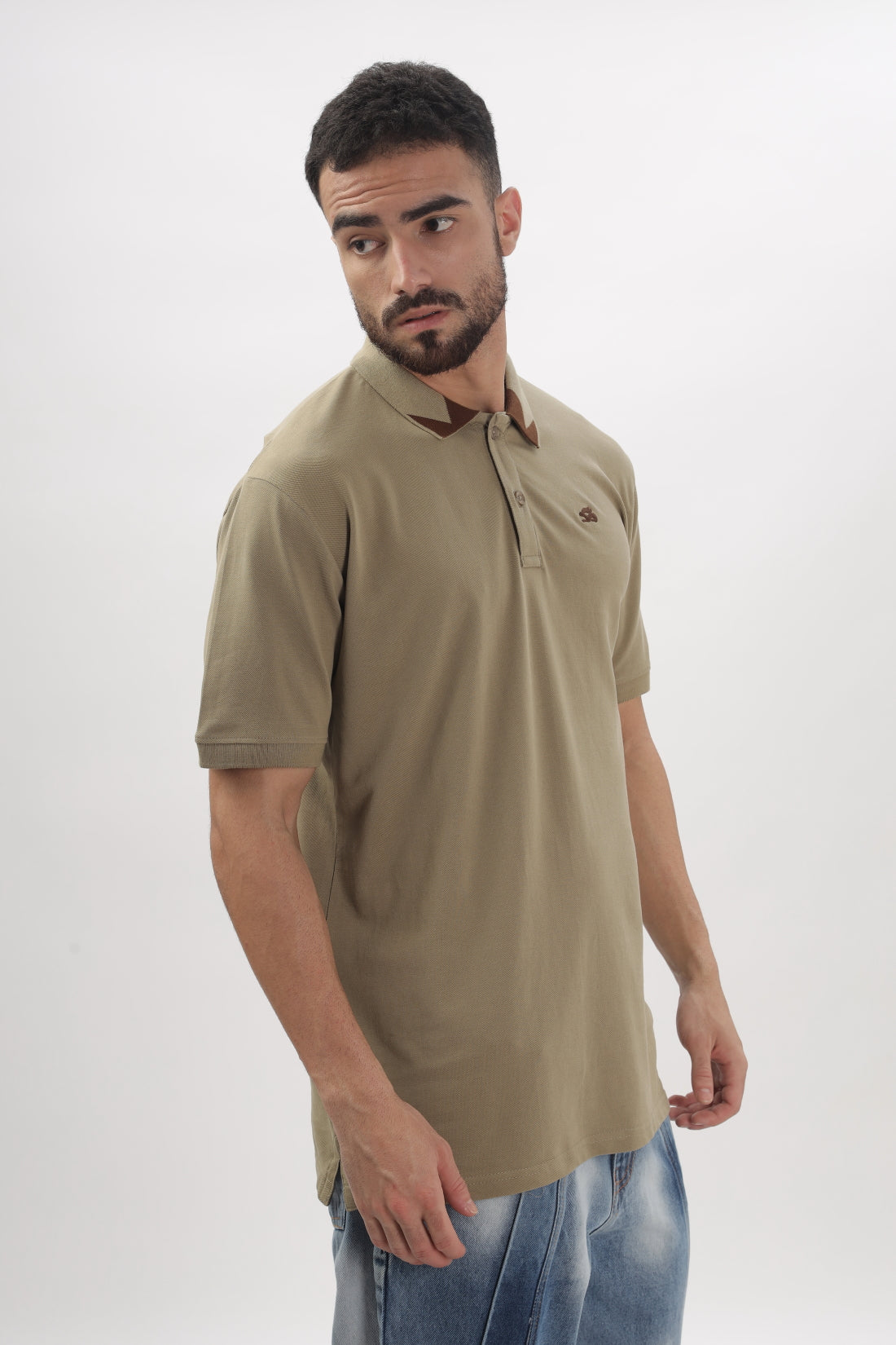 Men Beige Regular Fit Polo T-Shirt