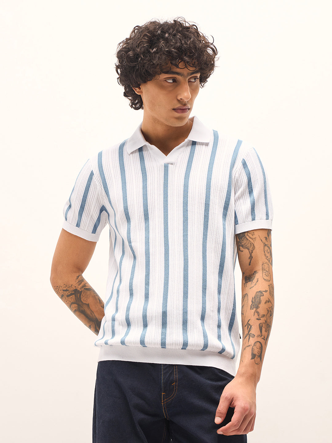 Men Blue and White Striped Slim Fit Polo