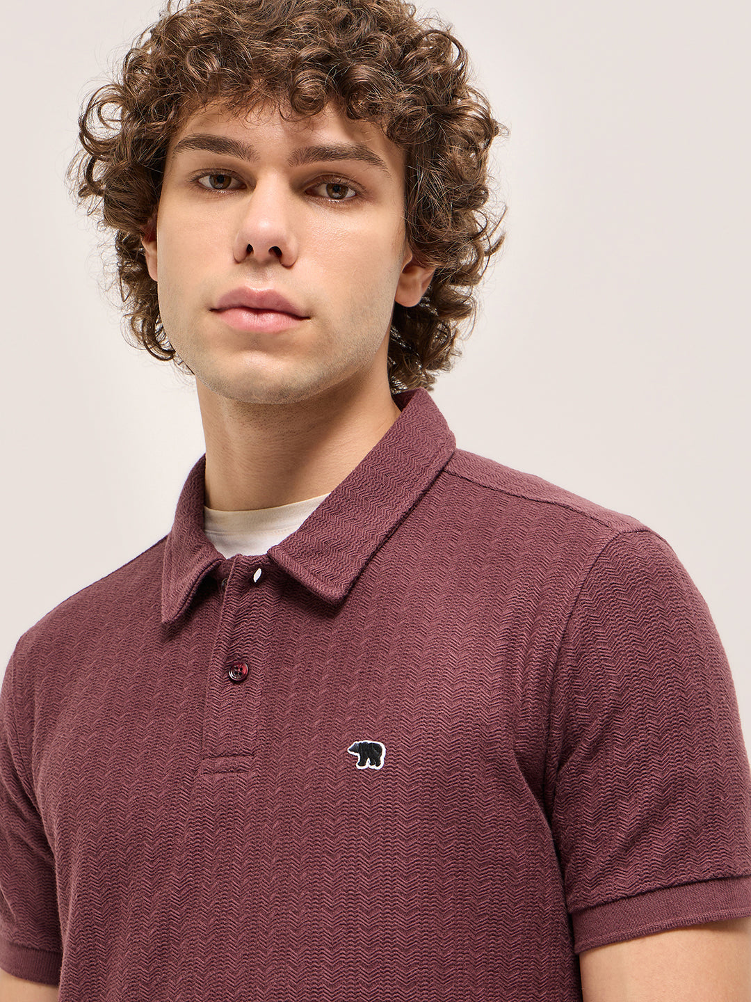 Men Maroon Geometric Textured Design Regular Fit Polo