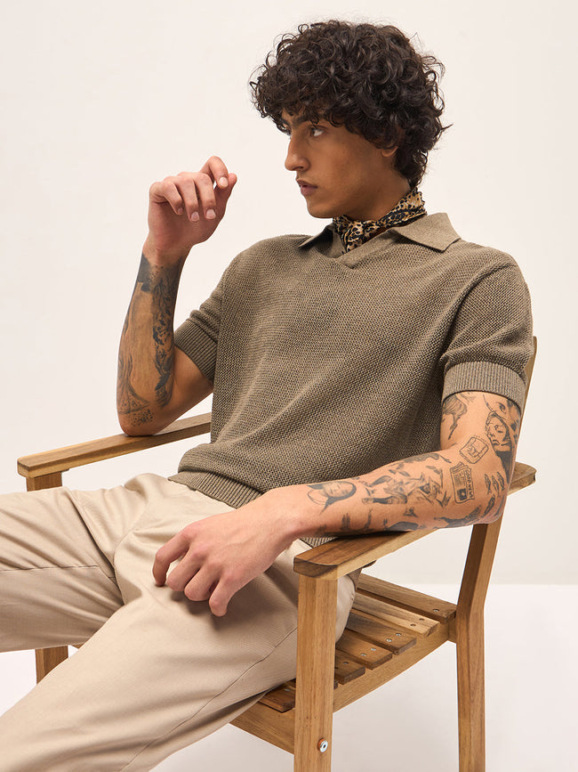 Men Brown Texture Design Regular Fit Polo
