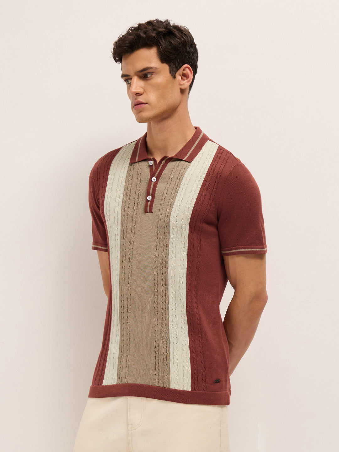 Men Cotton Colorblocked Polo T-Shirt