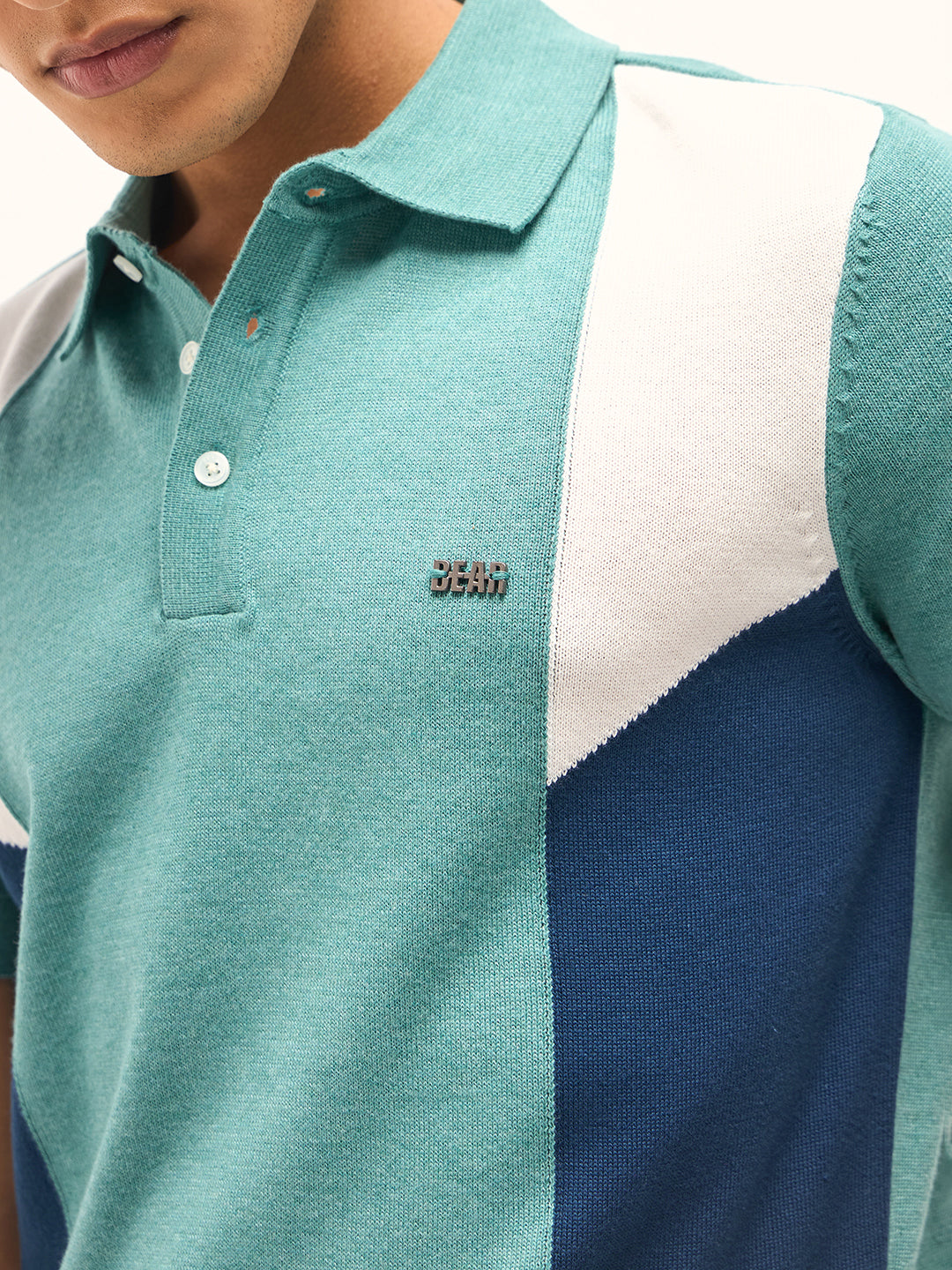 Men Multicolor Colourblock Flat Knit Polo