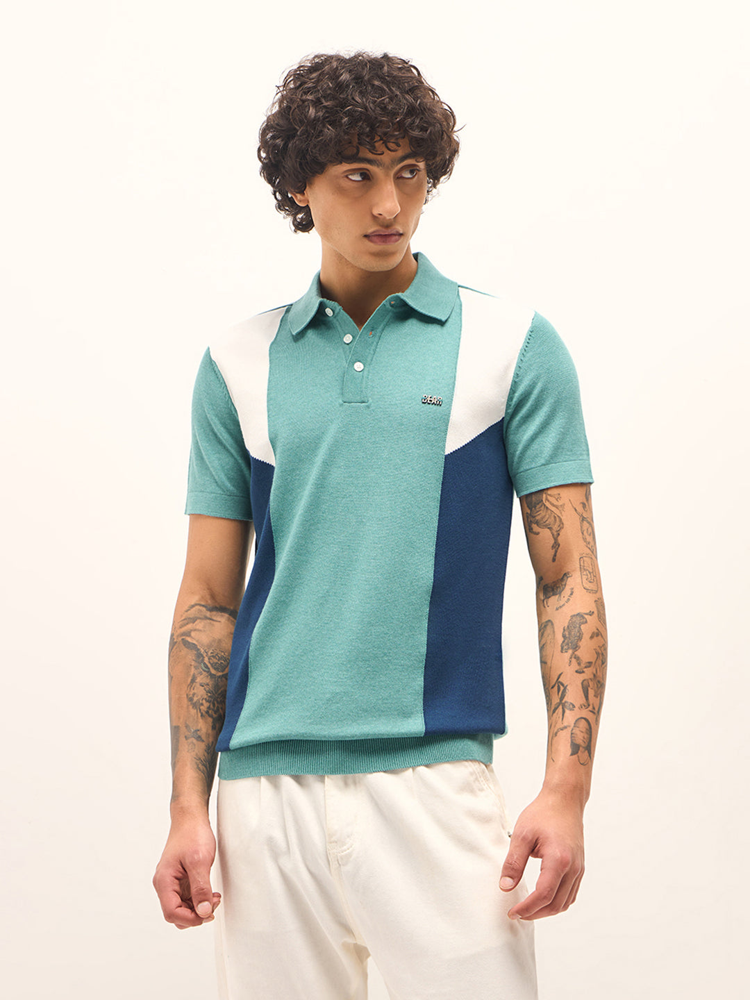 Men Multicolor Colourblock Flat Knit Polo