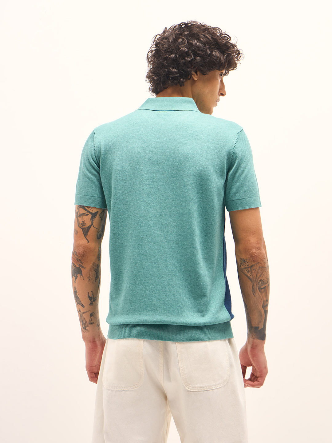 Men Multicolor Colourblock Flat Knit Polo