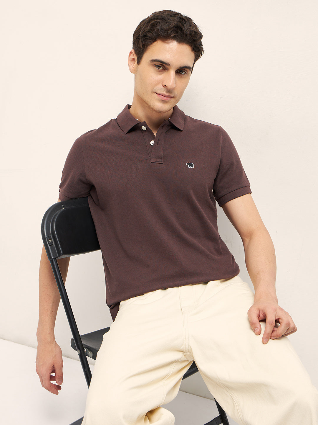 Men Brown Solid Regular Fit Polo