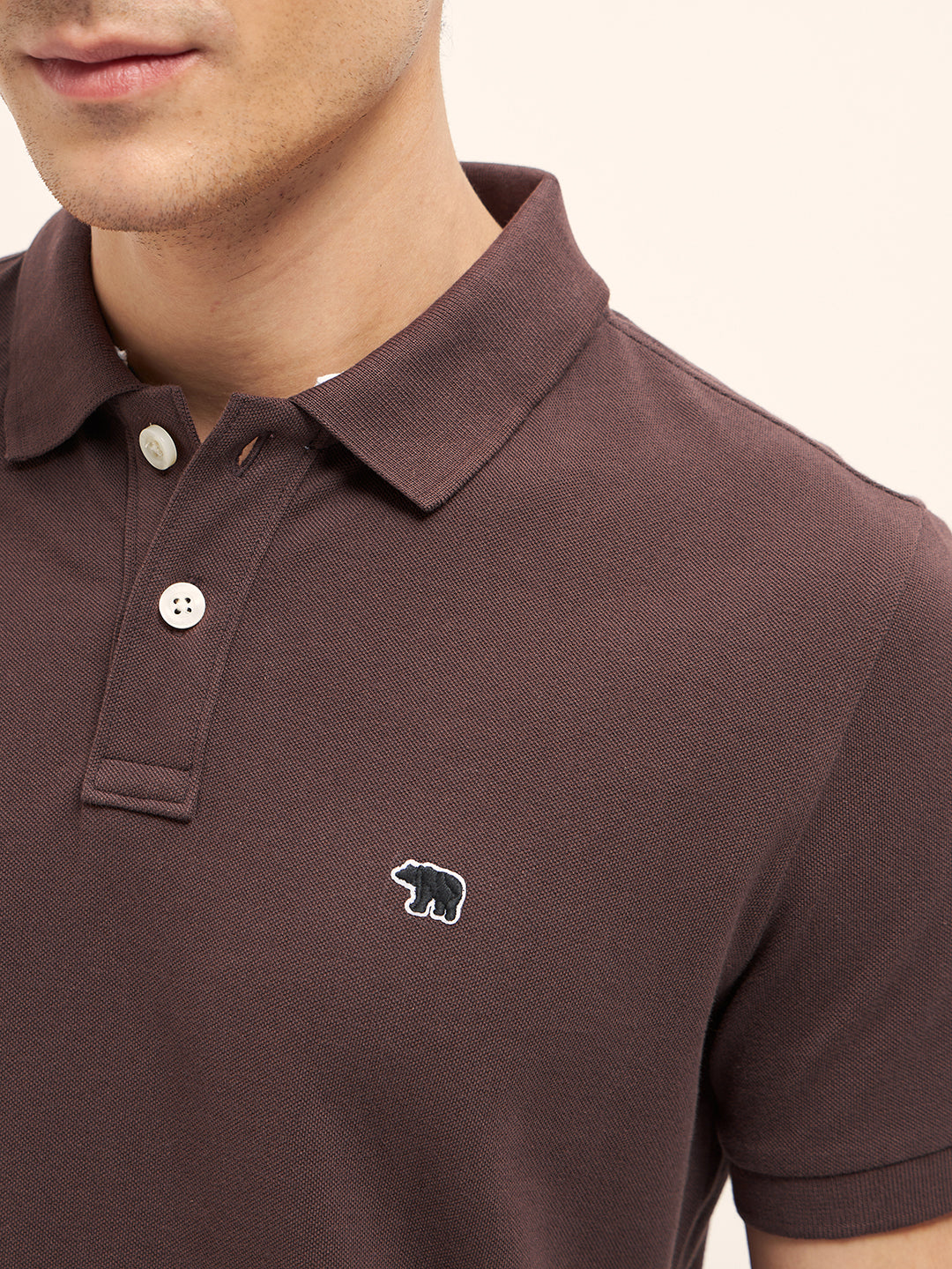 Men Brown Solid Regular Fit Polo