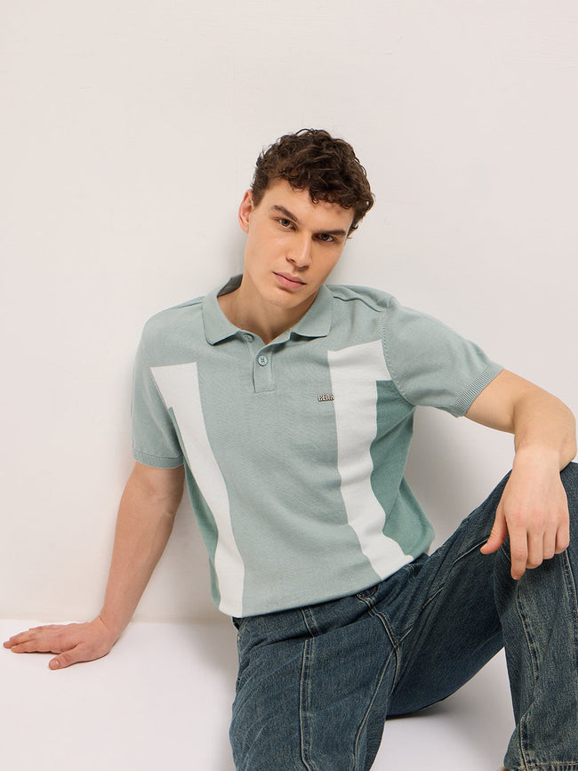 Men Multicolor Regular Fit Colorblock Flat Knit Polo