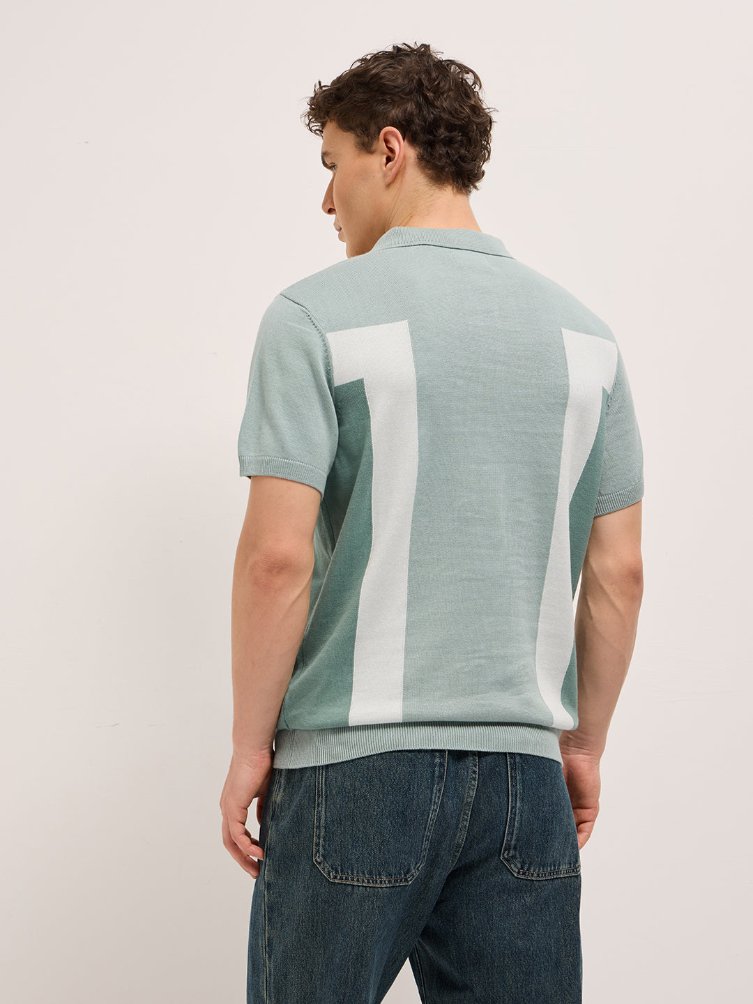 Men Multicolor Regular Fit Colorblock Flat Knit Polo