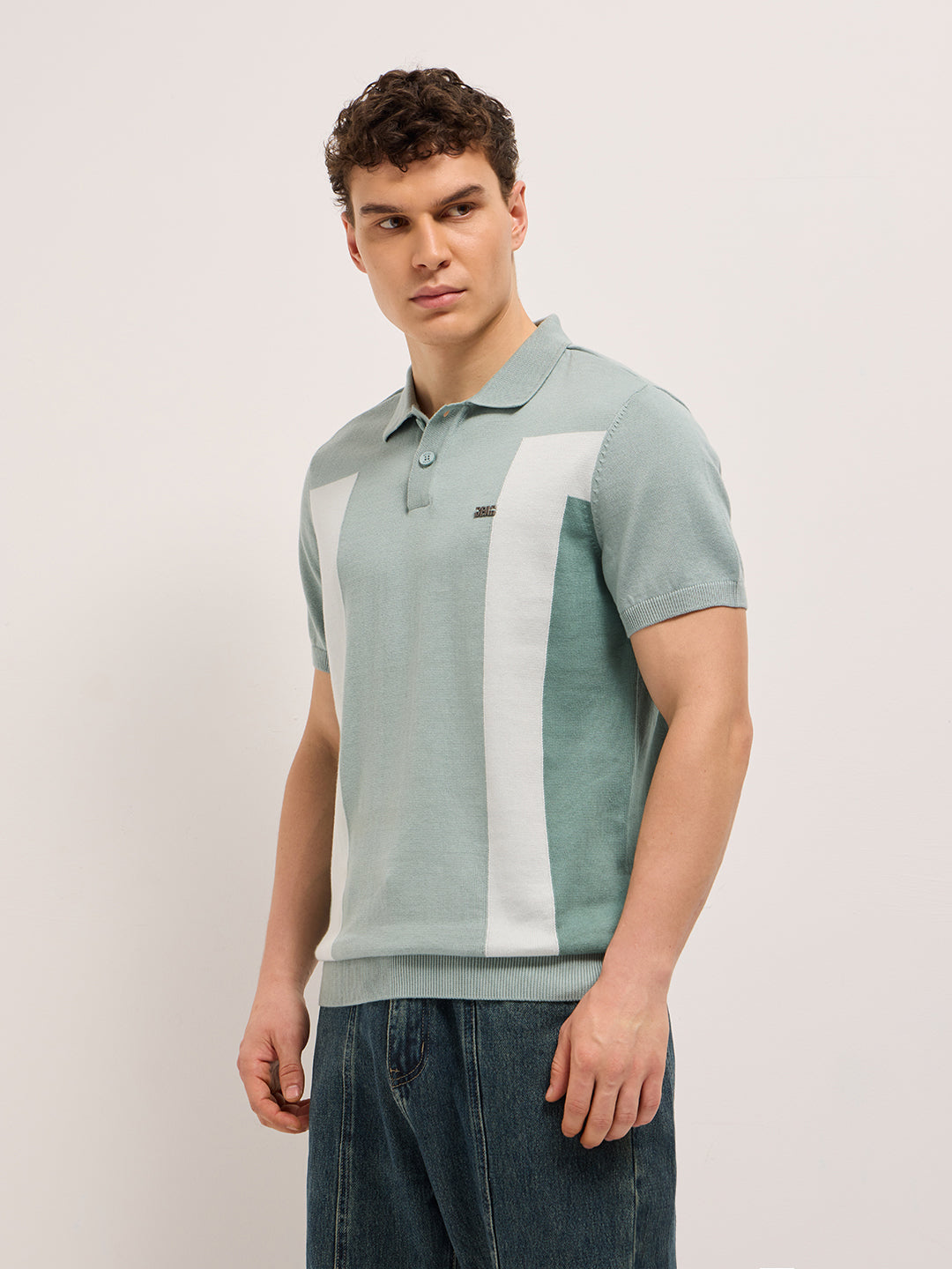 Men Multicolor Regular Fit Colorblock Flat Knit Polo
