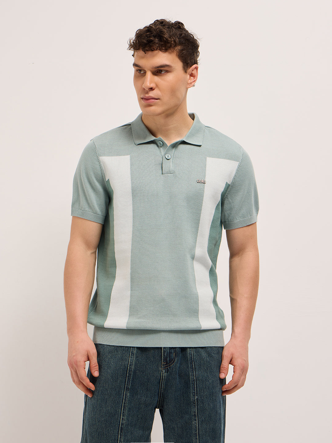 Men Multicolor Regular Fit Colorblock Flat Knit Polo