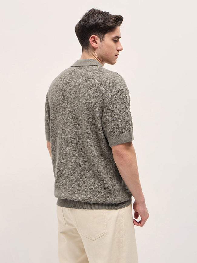 Men Brown Solid Texture Knit Design Regular Fit Polo